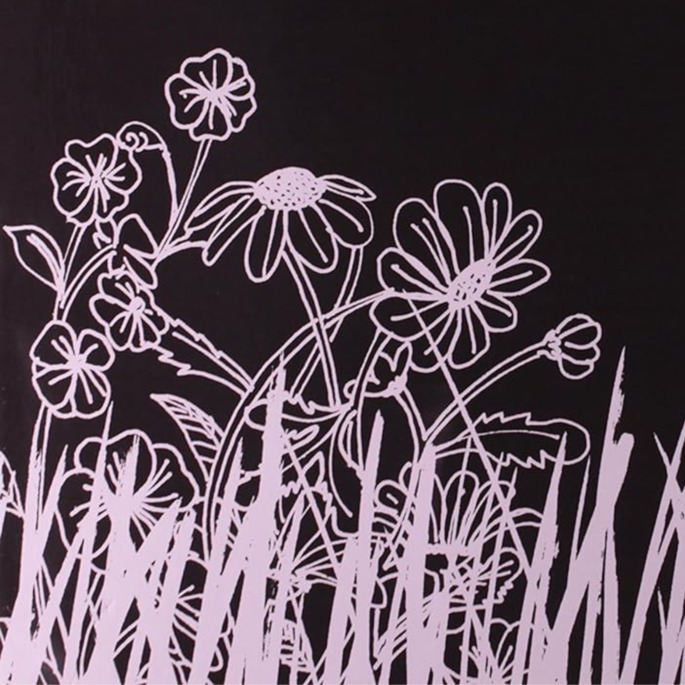 Parte da capa do livro negro das cores. Nela há uma representação artística de flores e capim, em linhas brancas desenhadas sobre um fundo escuro.