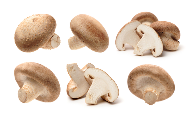 Cogumelos Shiitake em um fundo branco; 