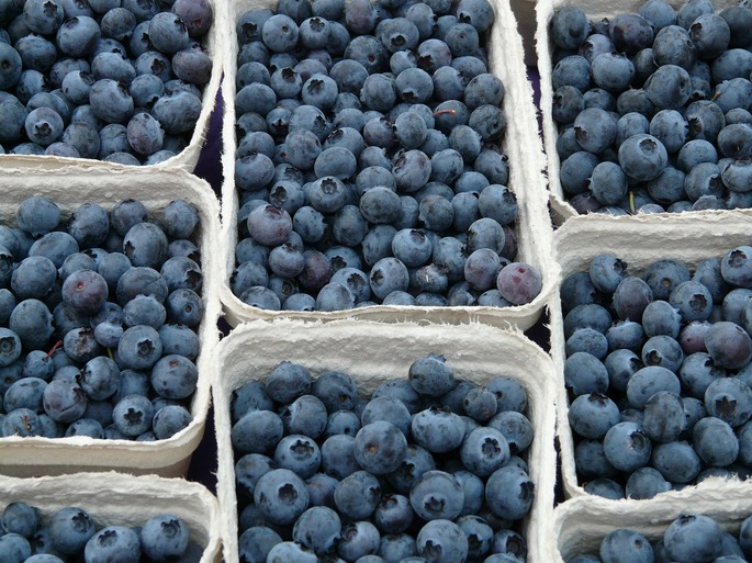 fruta com v
